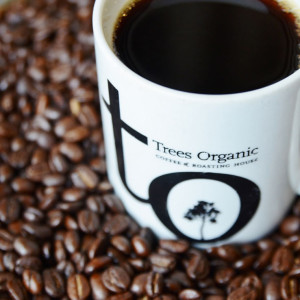 Trees Organic Coffee