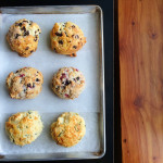 Fresh Baked Scones - Trees Organic Vancouver