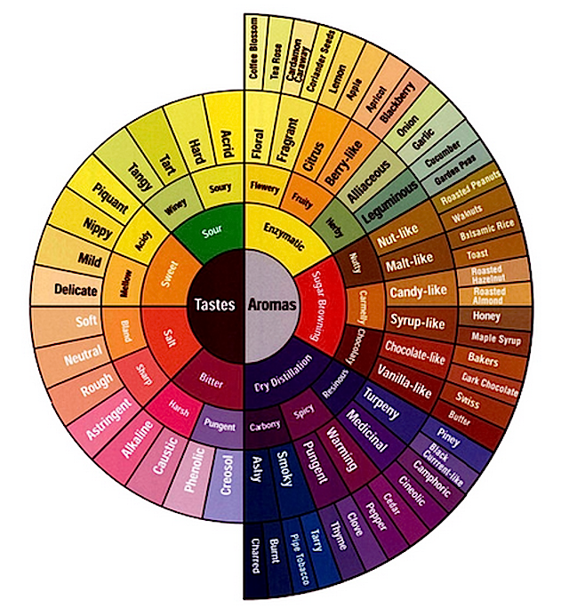 The Coffee Flavour Wheel. For Taste on the Tip of Your Tongue