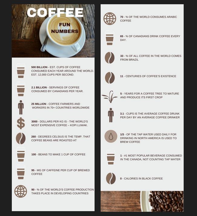 Trees Organic Coffee and Roasting House - Coffee Fun Numbers