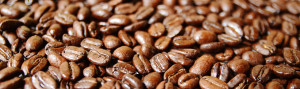 Trees Organic Coffee Beans