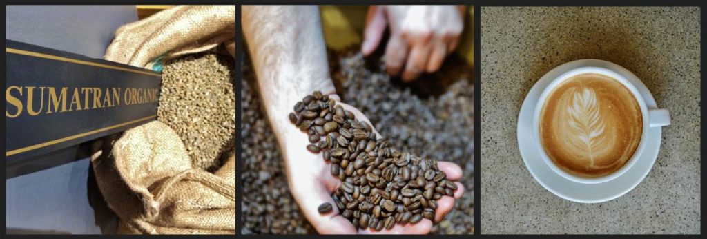 Sumatra Coffee - TreesOrganic Coffee
