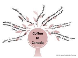 Coffee in Canada Facts by Trees Organic Coffee