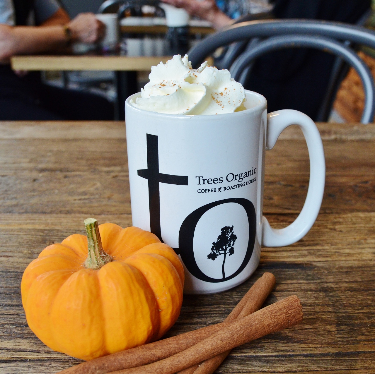 Pumpkin Spice Latte by Trees Organic Coffee