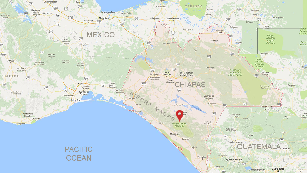 Chiapas Coffee Region in Mexico