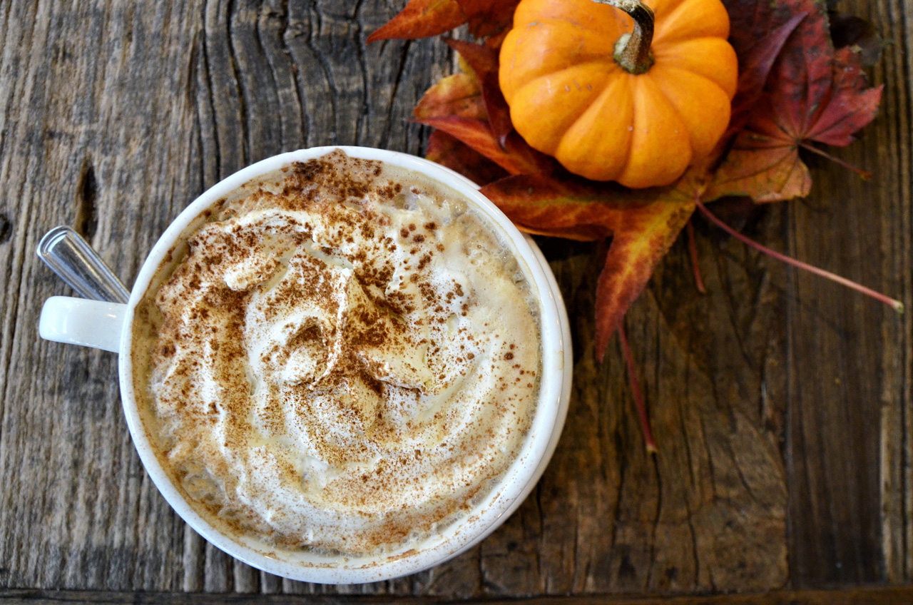 Pumpkin Spice Cheesecake and Latte | Trees Organic Coffee