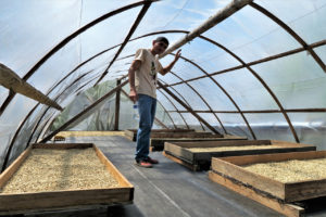 Drying Beds - Image from Optico